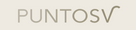 PuntosvStore