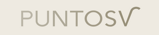 PuntosvStore